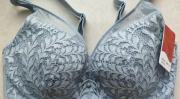 女士内衣品牌排行榜,十大知名品牌盘点